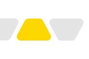 CG – citronově žlutá
